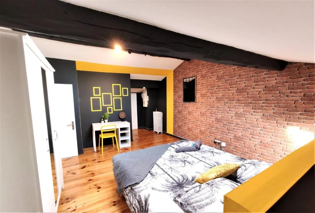La Terrasse De Jeanne - Vue Magnifique - Netflix Apartment Toulouse 0*,