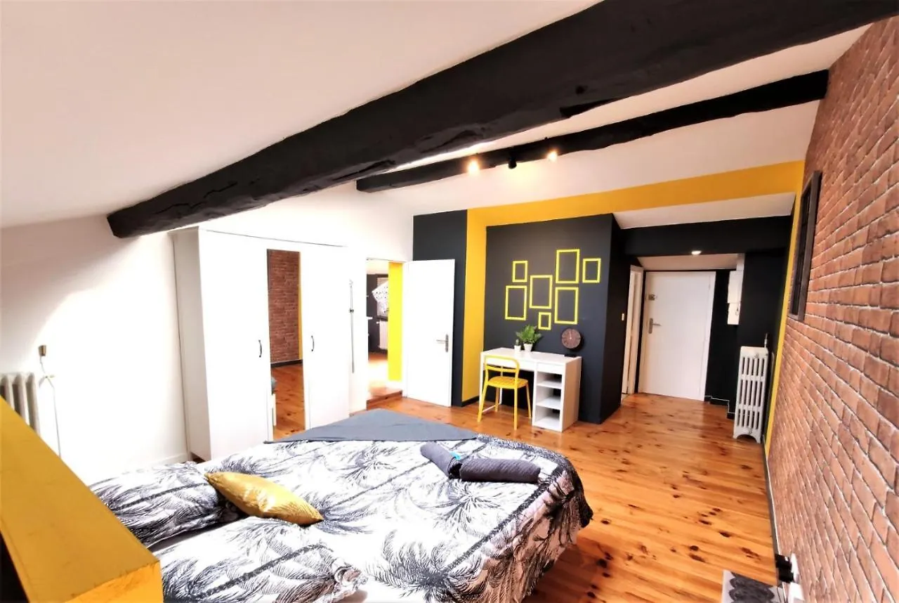 La Terrasse De Jeanne - Vue Magnifique - Netflix Apartment Toulouse France