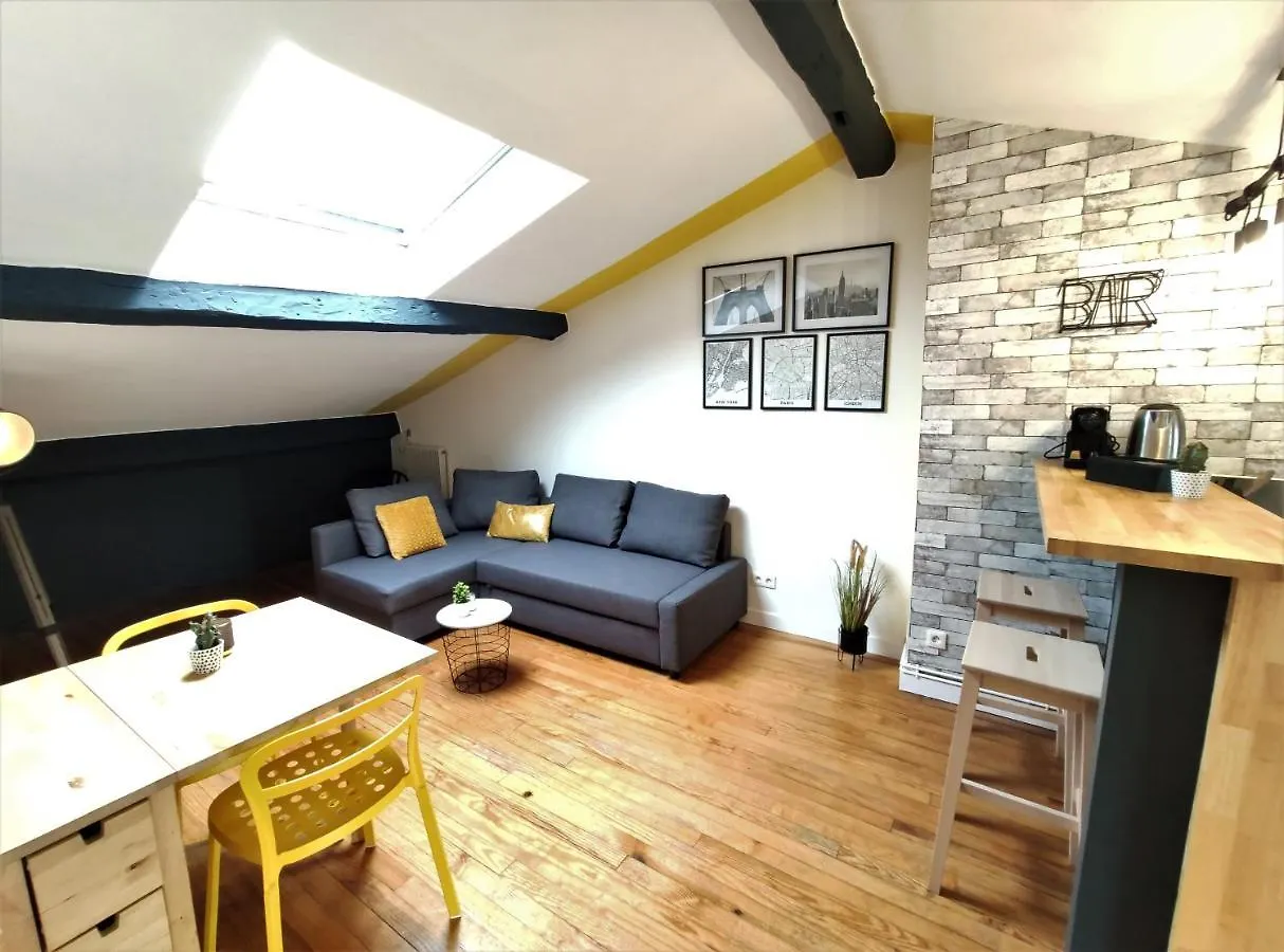 La Terrasse De Jeanne - Vue Magnifique - Netflix Apartment Toulouse
