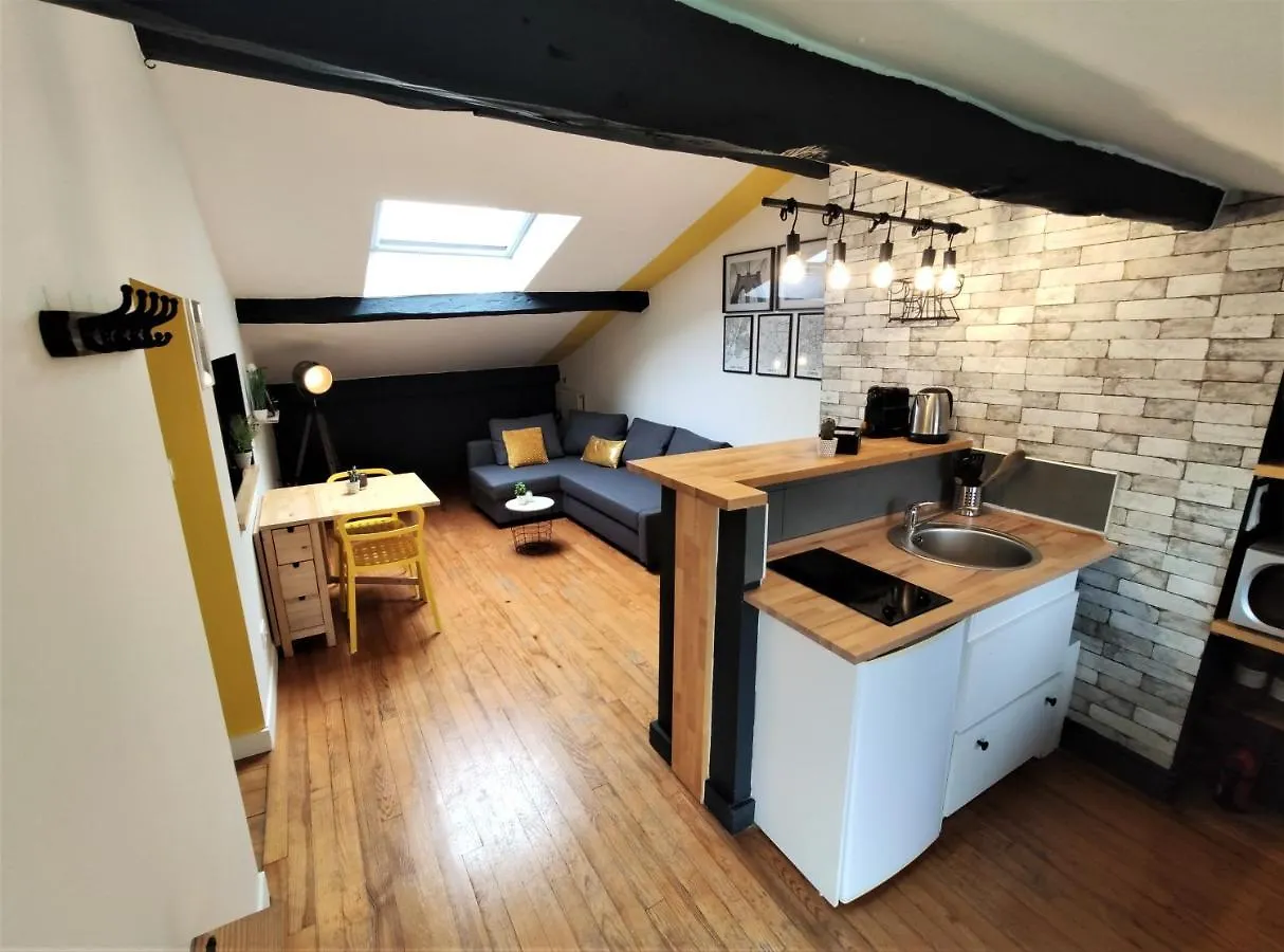 La Terrasse De Jeanne - Vue Magnifique - Netflix Apartment Toulouse