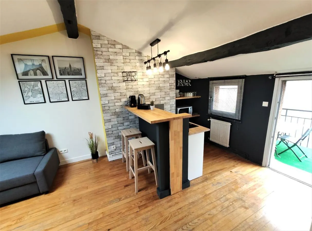 La Terrasse De Jeanne - Vue Magnifique - Netflix Apartment Toulouse